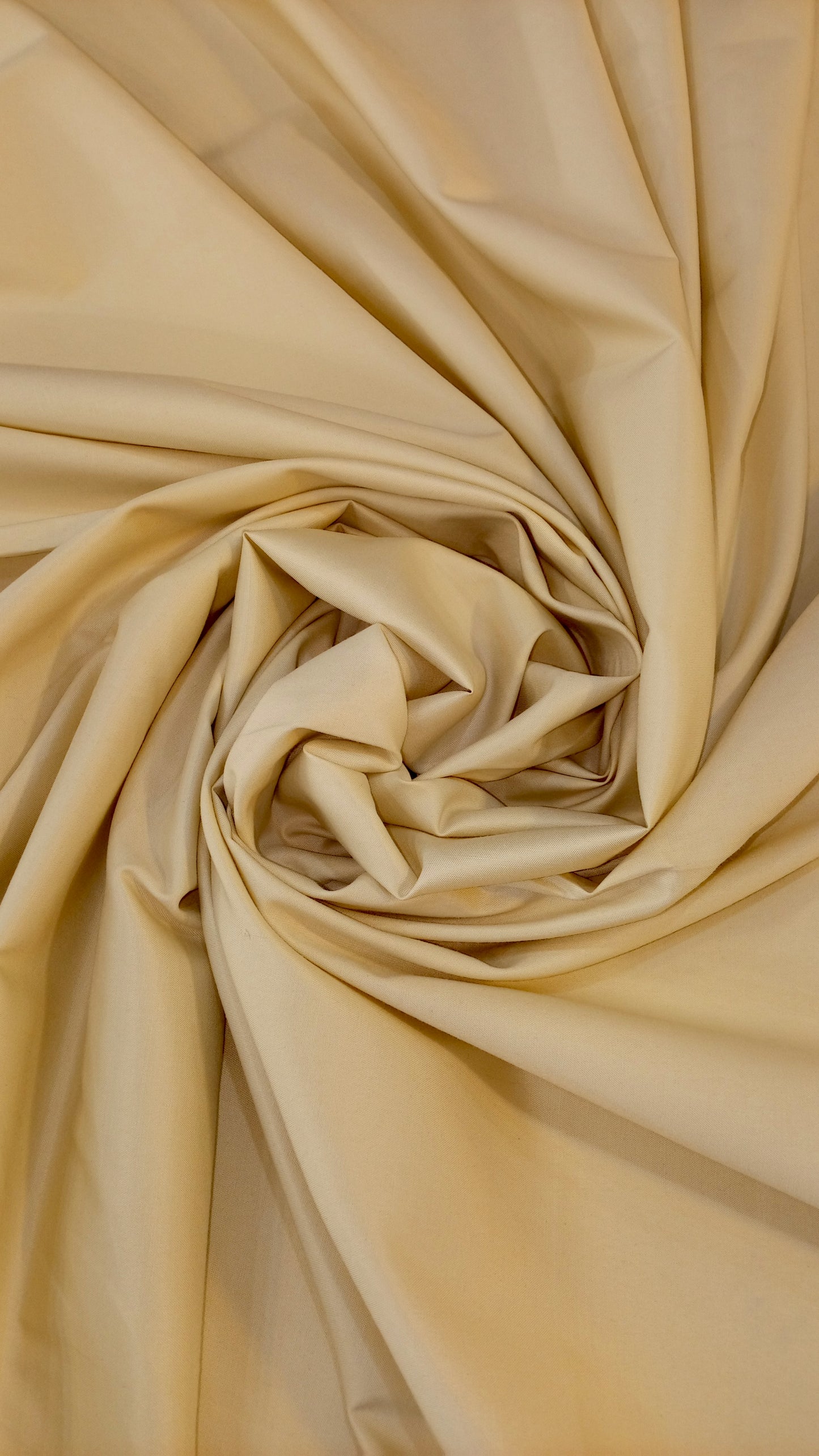 Champagne Beige